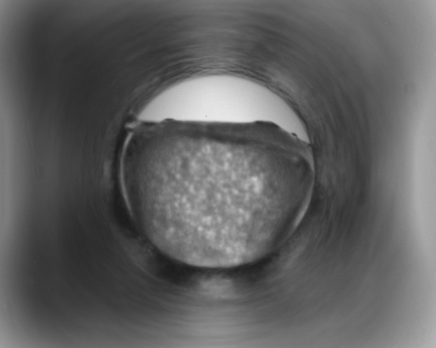 X0000088060258200706081655