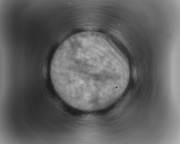 X0000088060259200706081655