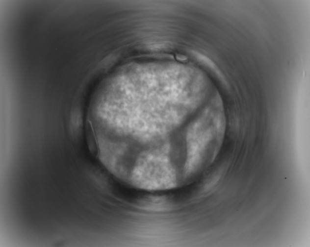 X0000088060260200706081655