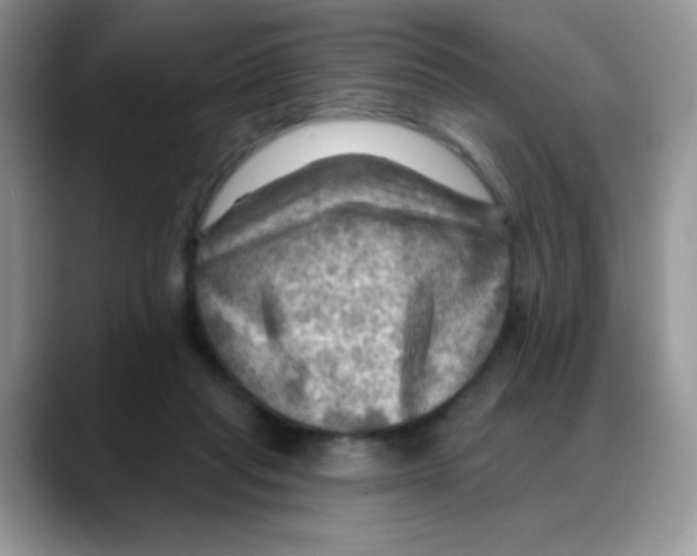 X0000088060261200706081655