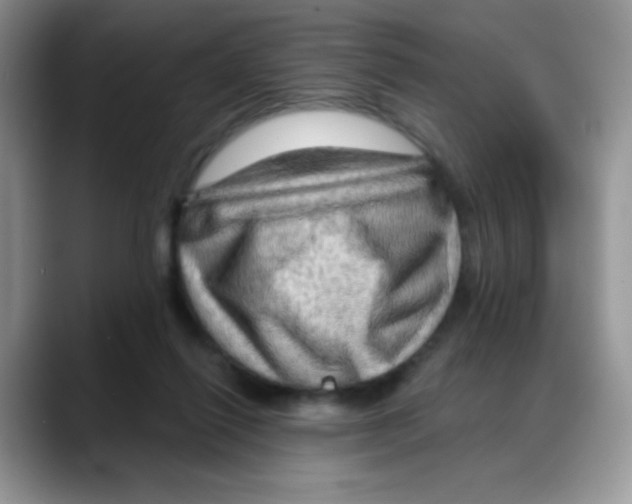 X0000088060262200706081655