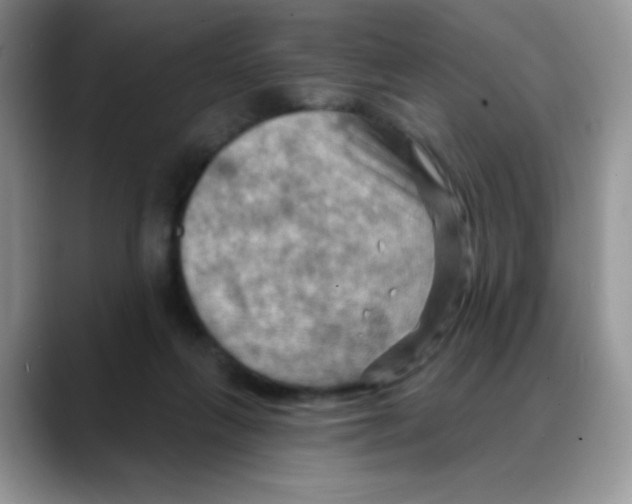 X0000088060263200706081655