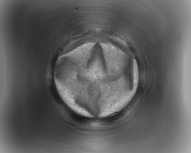 X0000088060264200706081655