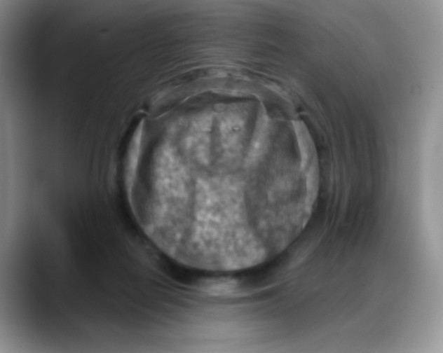 X0000088060266200706081655