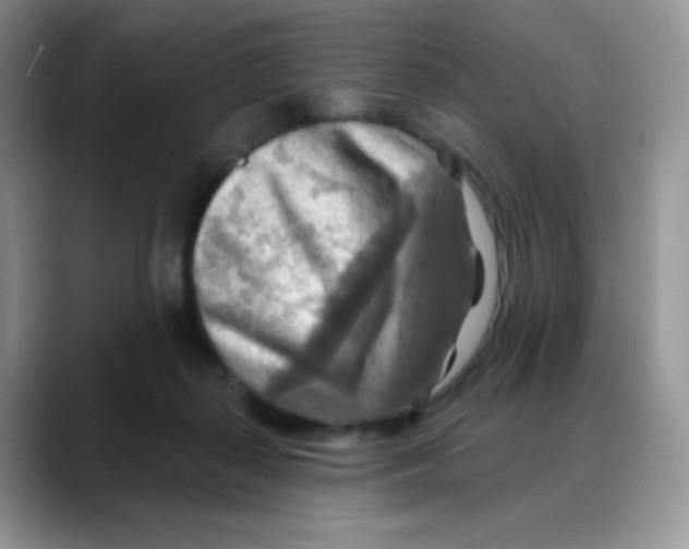 X0000088060267200706081655
