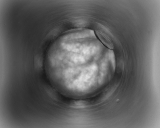X0000088060268200706081655