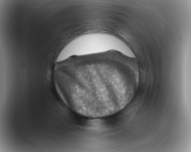 X0000088060269200706081655