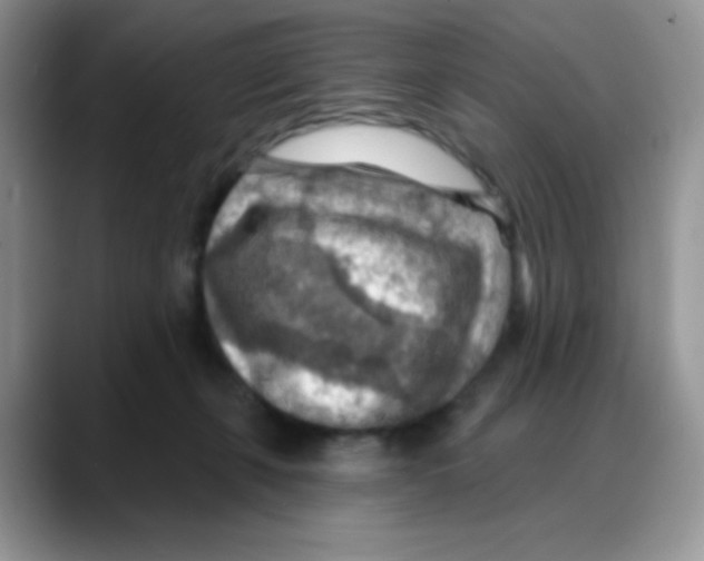 X0000088060271200706081655