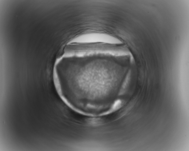 X0000088060273200706081655