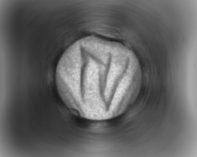 X0000088060274200706081655