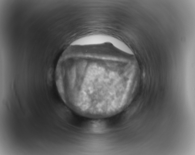 X0000088060275200706081655