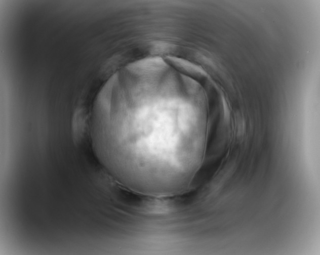 X0000088060276200706081655