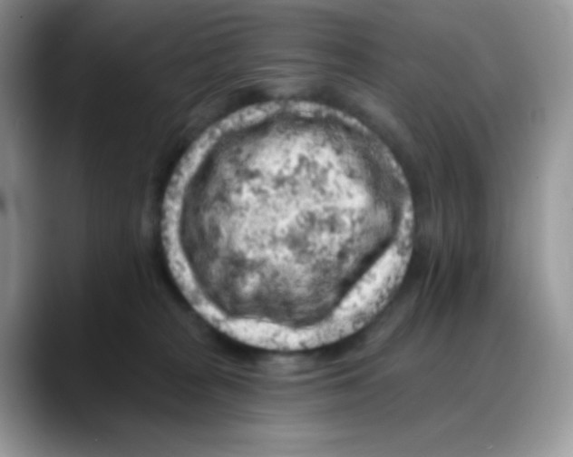 X0000088060277200706081655