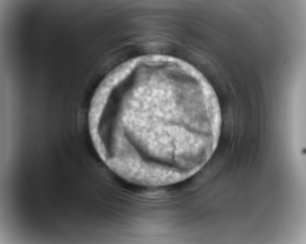 X0000088060278200706081655