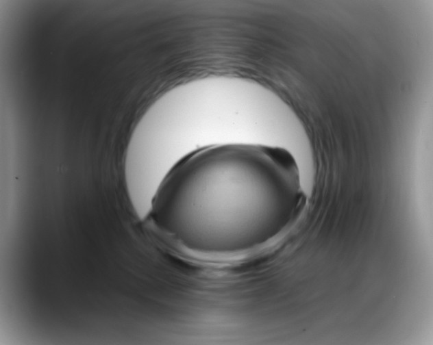 X0000088060280200706081655