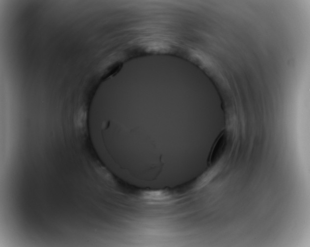 X0000088060281200706081655