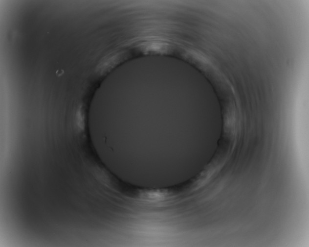 X0000088060282200706081655