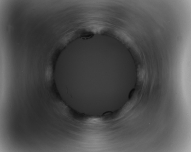 X0000088060283200706081655