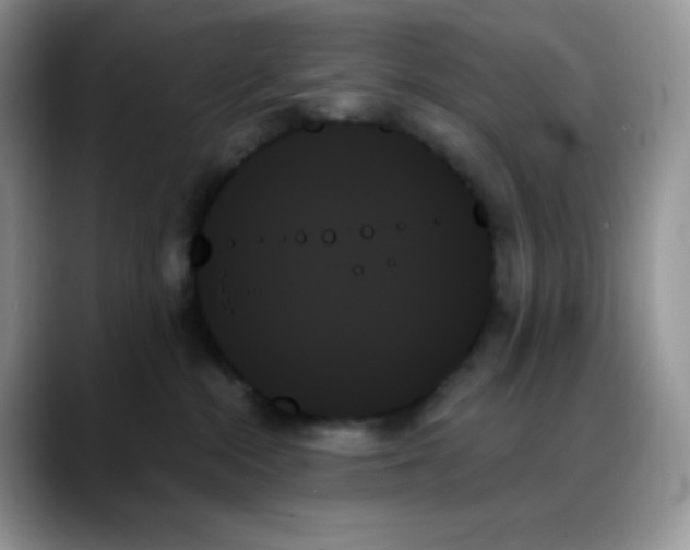 X0000088060284200706081655