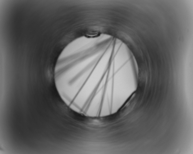 X0000088060285200706081655