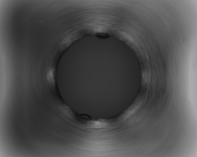 X0000088060286200706081655