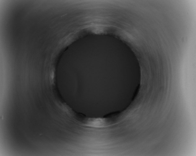 X0000088060288200706081655