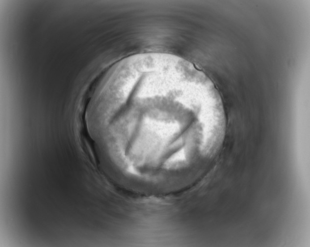X0000088060290200706081655