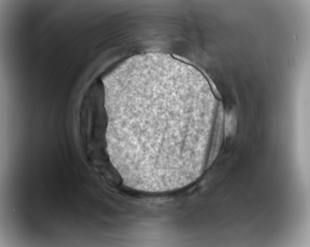 X0000088060291200706081655