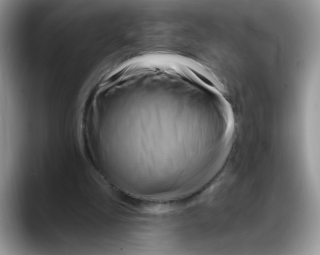X0000088060293200706081655