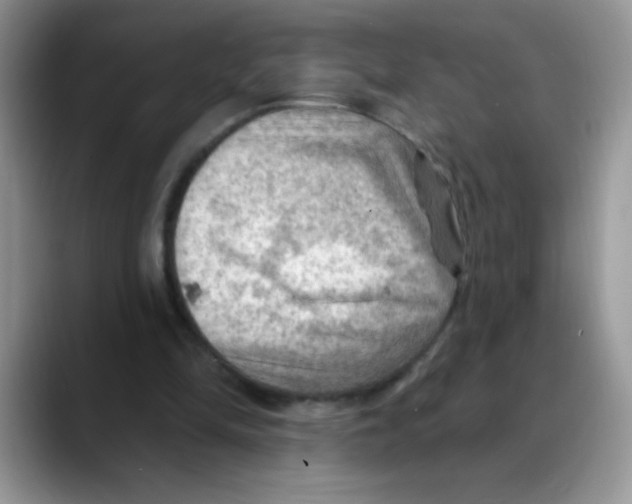X0000088060294200706081655