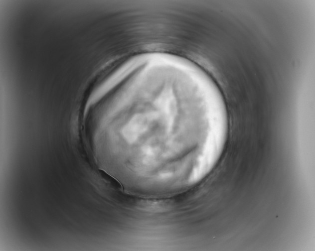 X0000088060297200706081655