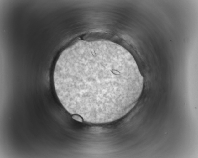 X0000088060298200706081655
