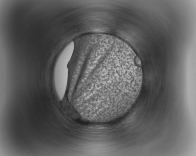 X0000088060299200706081655