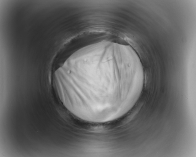X0000088060301200706081655