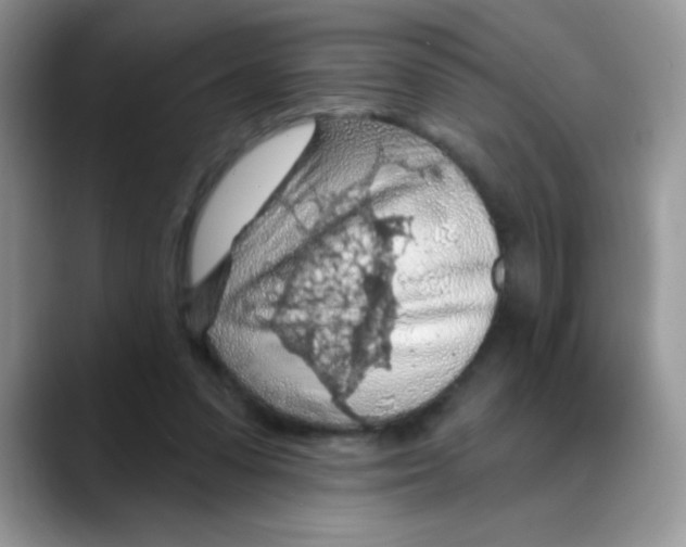 X0000088060303200706081655