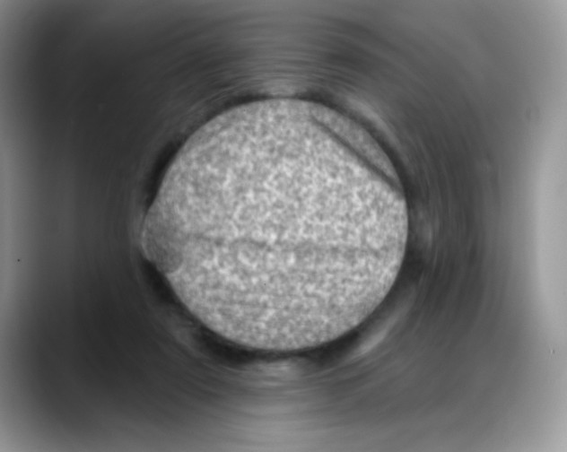 X0000088060307200706081655
