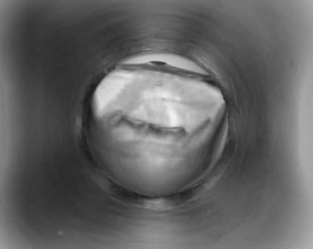 X0000088060309200706081655