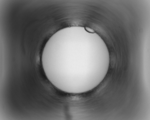X0000088060310200706081655