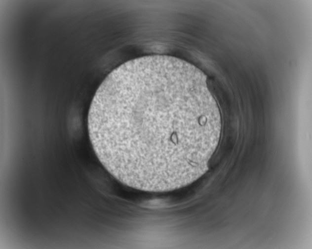X0000088060312200706081655