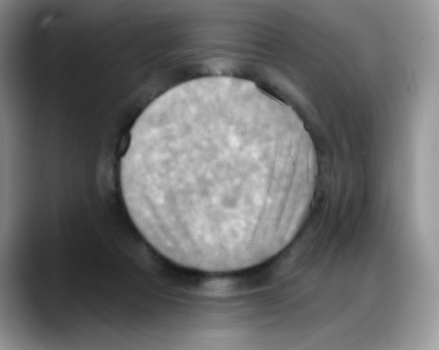 X0000088060313200706081655