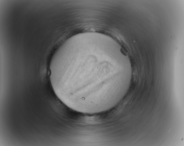 X0000088060314200706081655