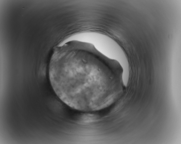 X0000088060315200706081655