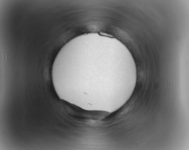 X0000088060317200706081654