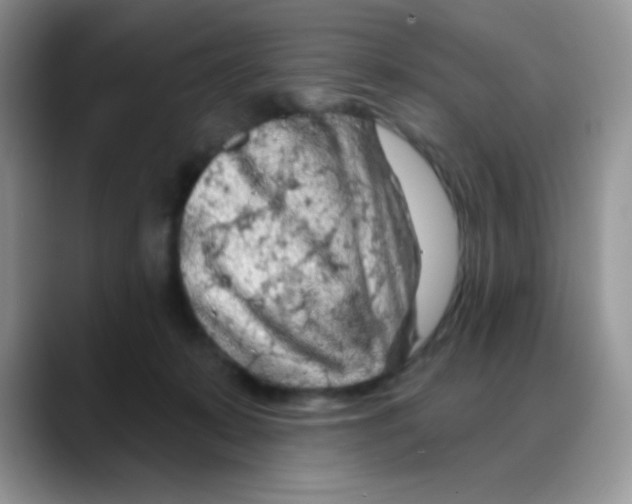X0000088060319200706081654