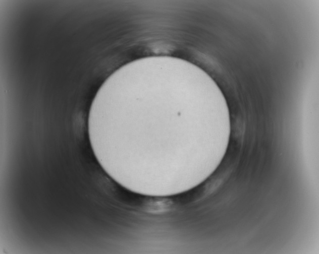 X0000088060321200706081654