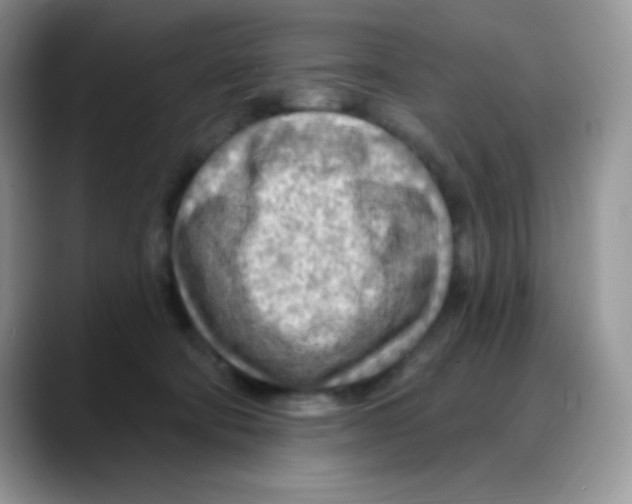 X0000088060322200706081654