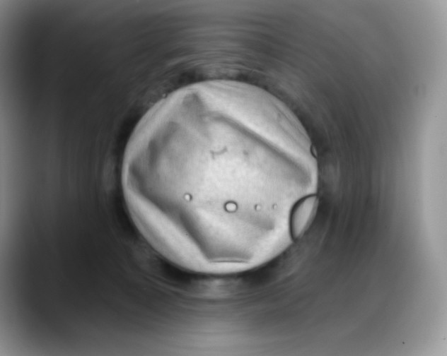 X0000088060323200706081654