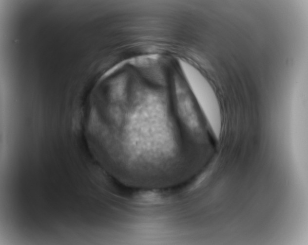 X0000088060325200706081654