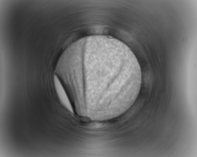 X0000088060326200706081654
