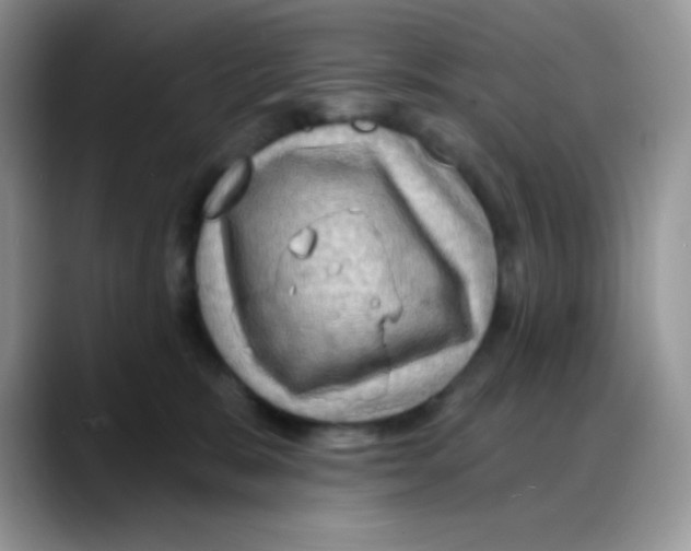X0000088060327200706081654